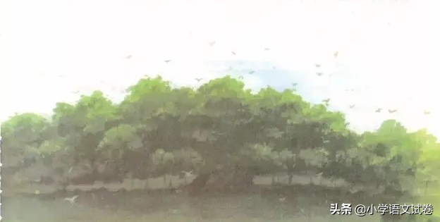 鸟的天堂课文解析（鸟的天堂好句赏析） 第3张
