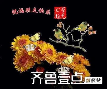 闲花淡淡春表达的意思（养花闲意唯美句子） 第1张