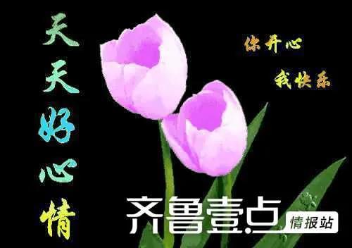 闲花淡淡春表达的意思（养花闲意唯美句子） 第3张