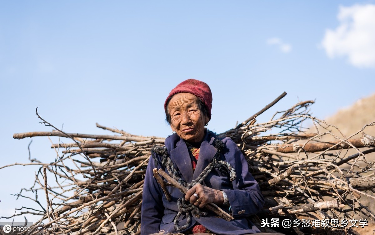 落叶是疲倦的蝴蝶赏析（关于蝴蝶的唯美短句） 第5张