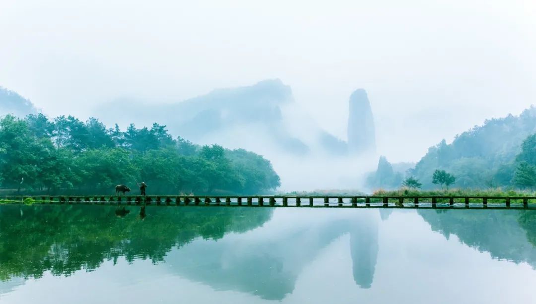 王安石的诗有哪些（王安石最有名的十首诗） 第1张