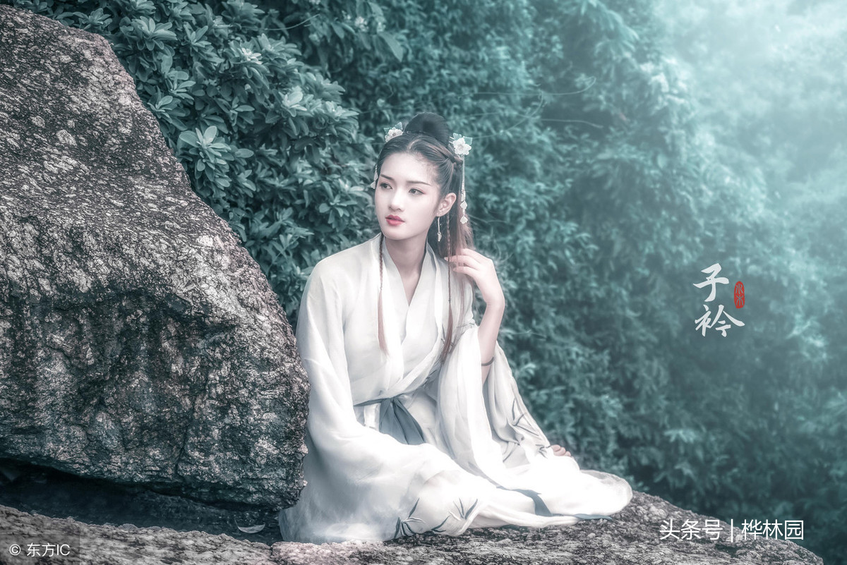 诗经采薇古诗翻译（采薇诗歌鉴赏） 第3张