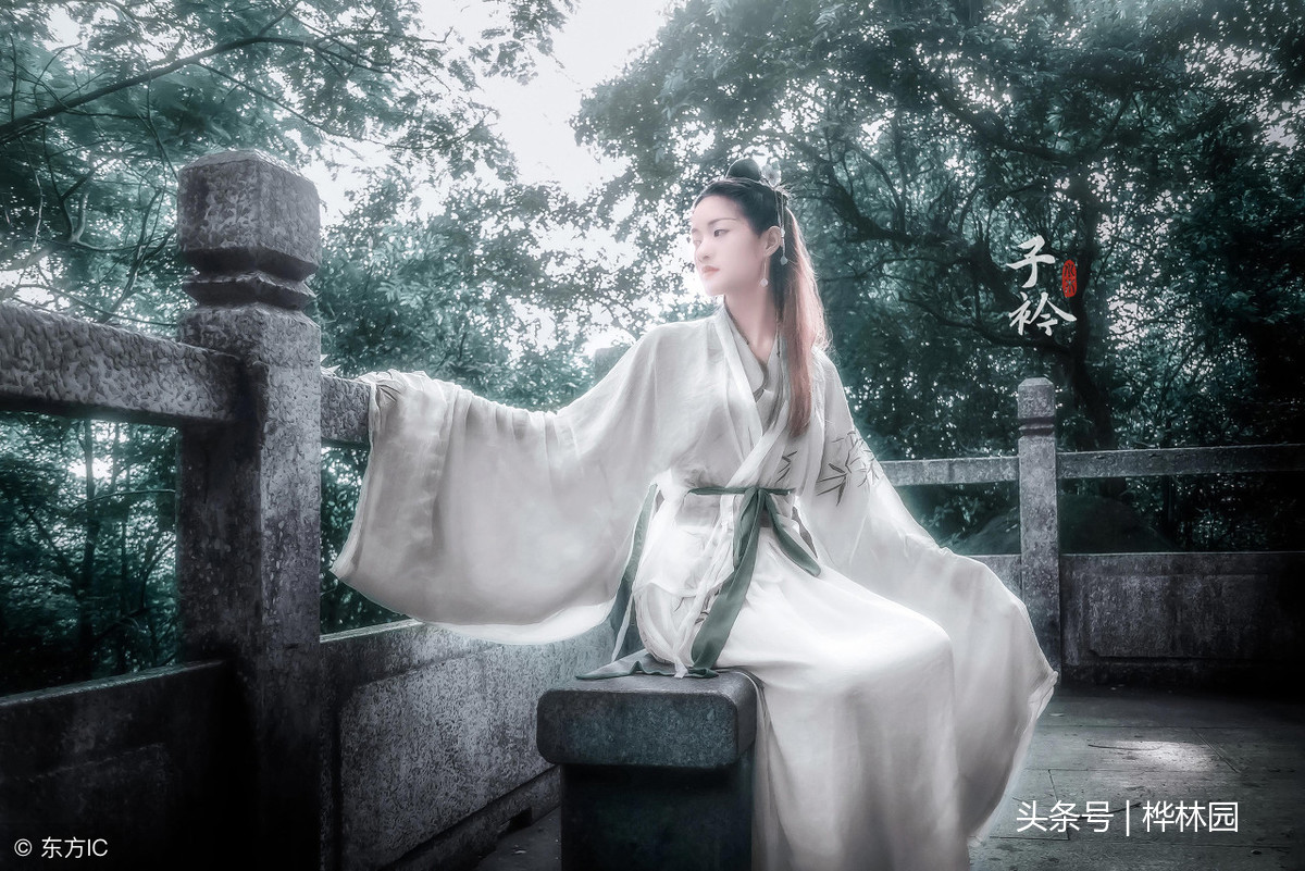 诗经采薇古诗翻译（采薇诗歌鉴赏） 第5张