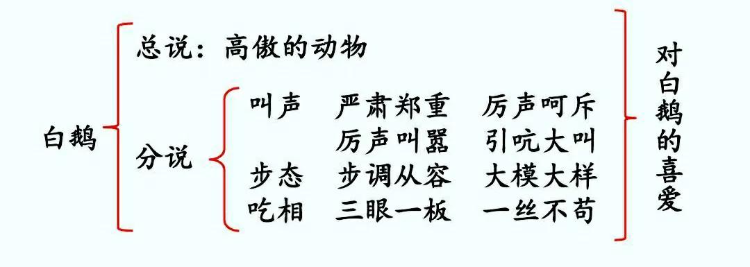 白鹅课文原文笔记（白鹅读书笔记主要内容） 第3张