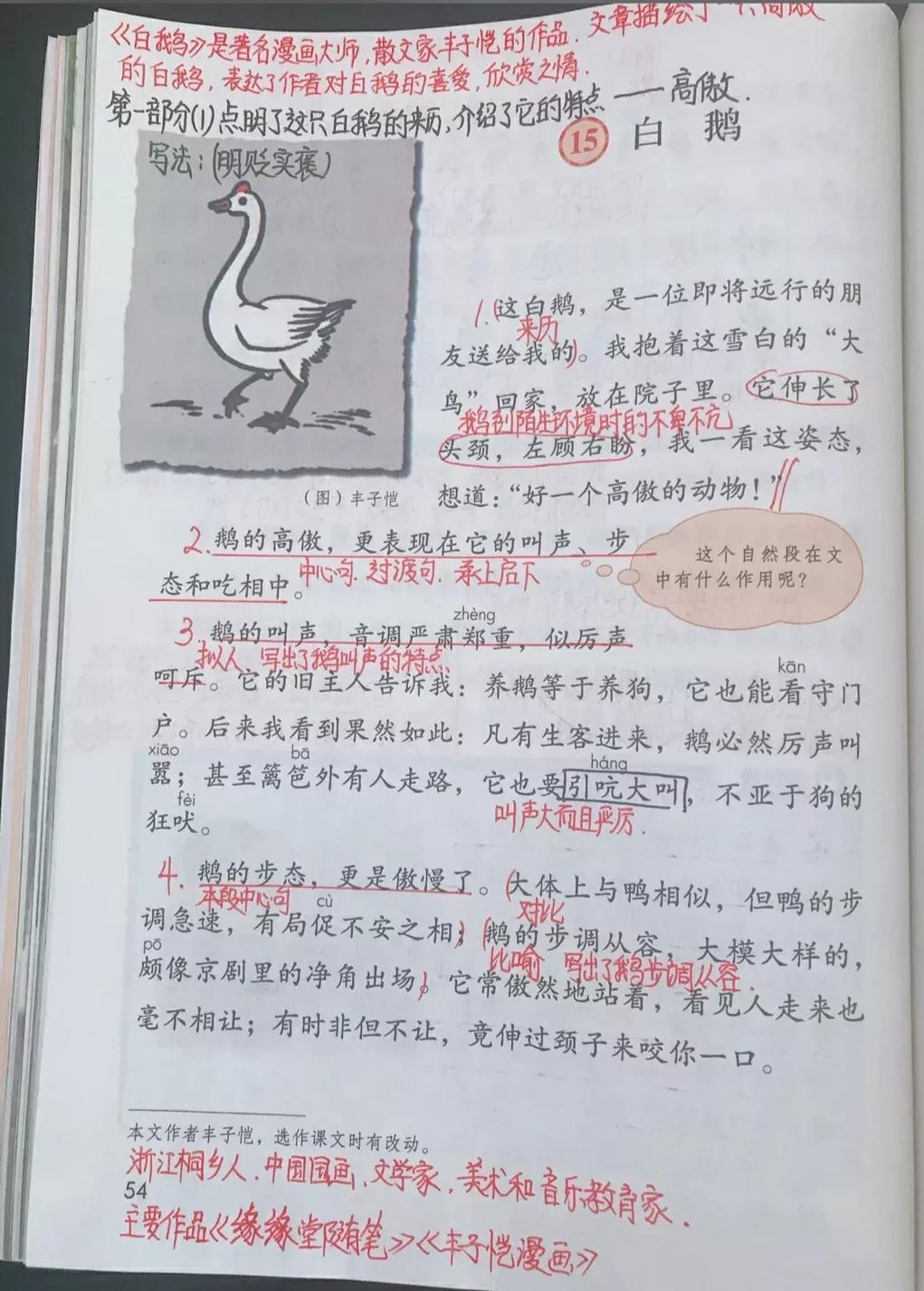 白鹅课文原文笔记（白鹅读书笔记主要内容） 第5张