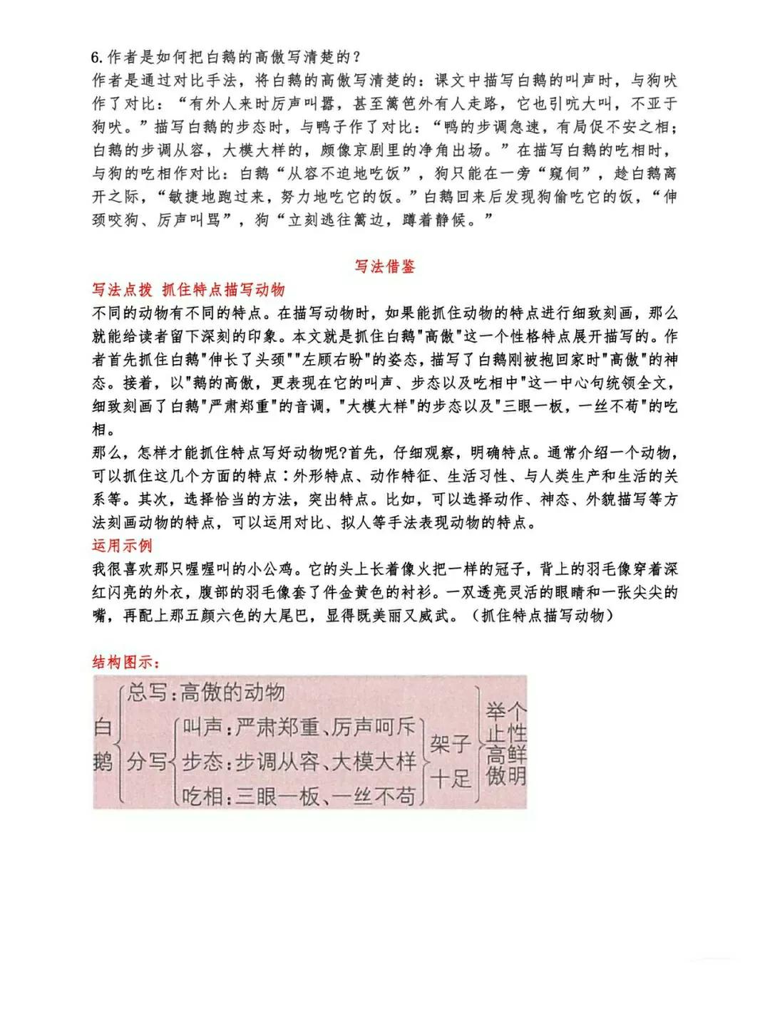 白鹅课文原文笔记（白鹅读书笔记主要内容） 第17张