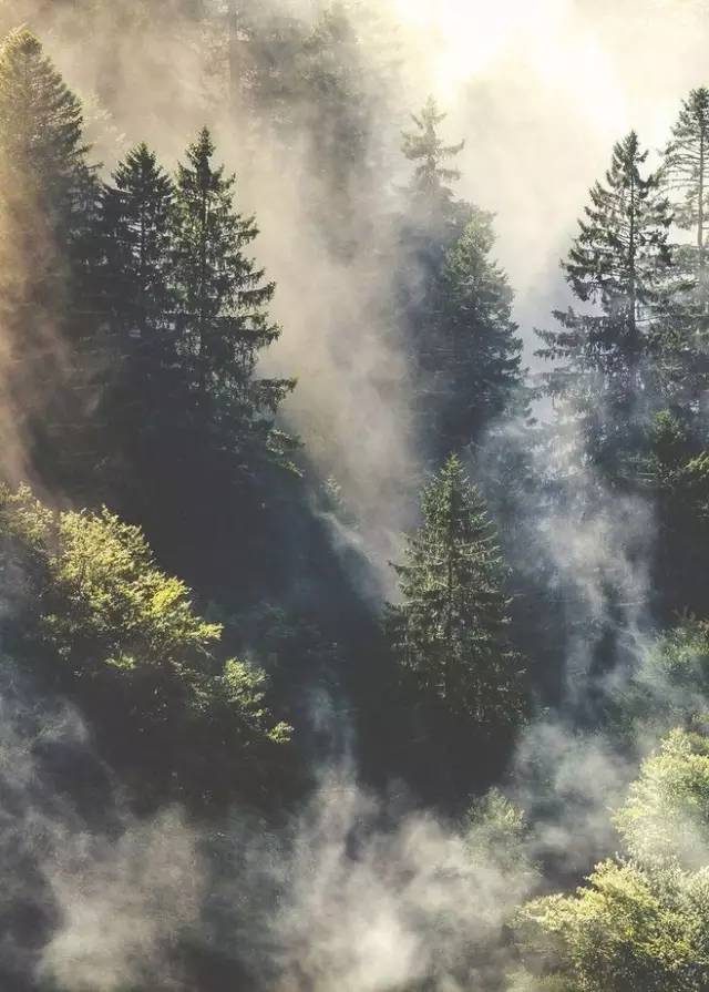 王维的古诗有哪些（王维最有名的十首诗） 第13张