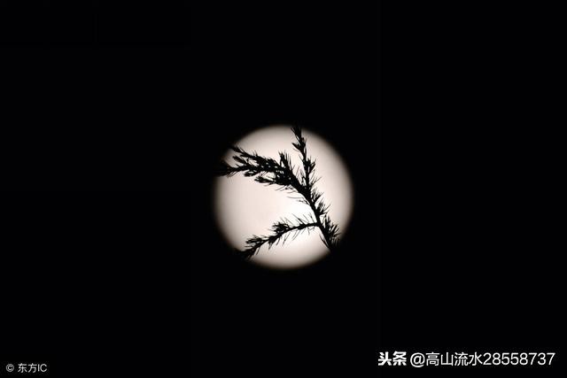 江城子记梦苏轼原文（苏轼怀念亡妻的江城子原文） 第1张