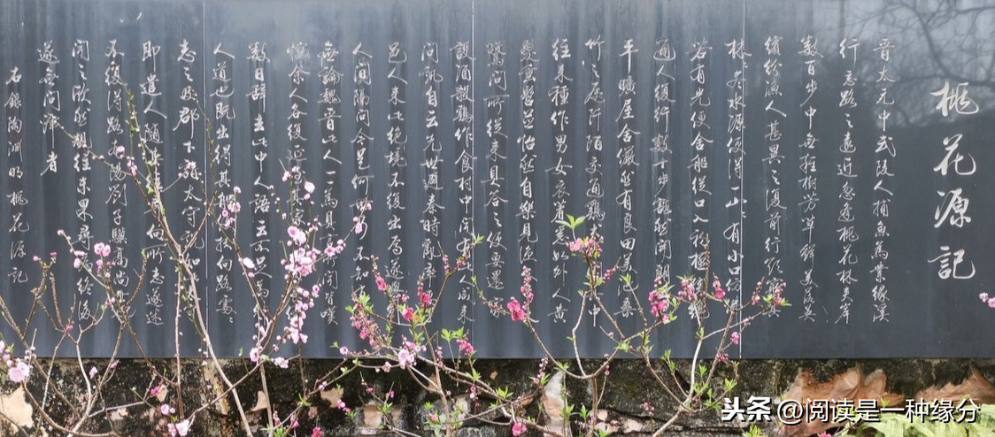 文言文桃花源记翻译及原文（桃花源记注释） 第1张
