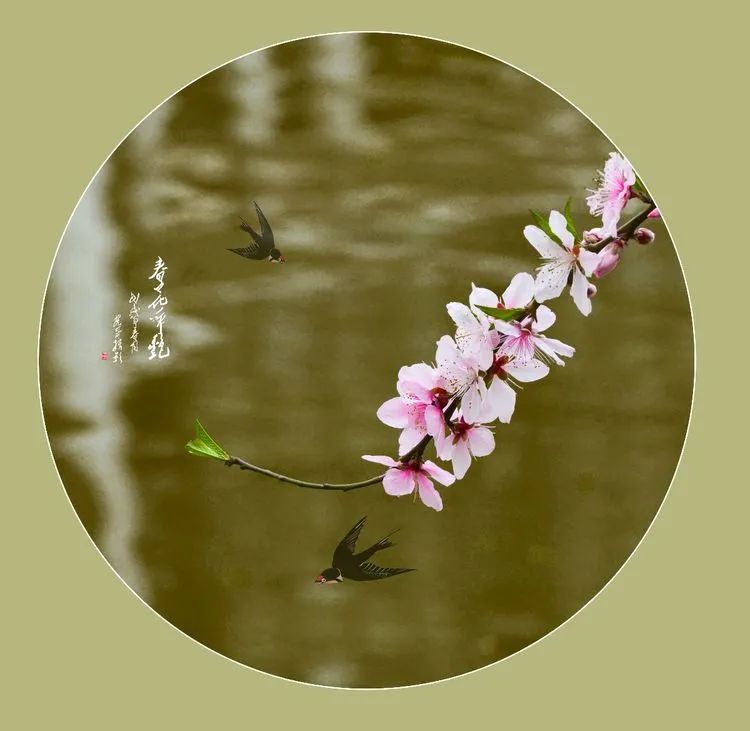 有关燕子的古诗词（关于燕子的唯美句子） 第3张