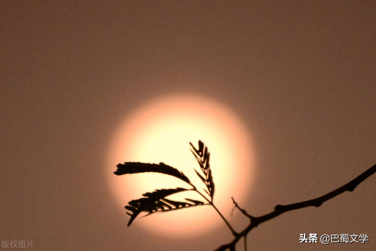 中秋散文短篇简短（中秋节的优美散文） 第1张