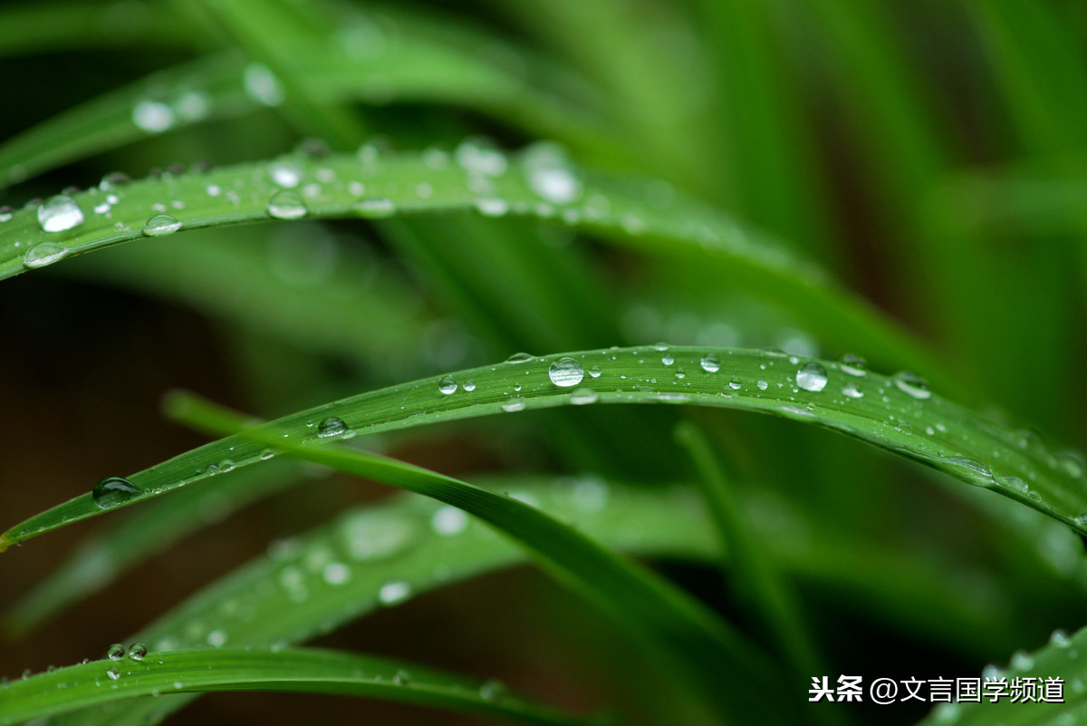 最是一年春好处的意思（形容春天美好的诗句） 第3张