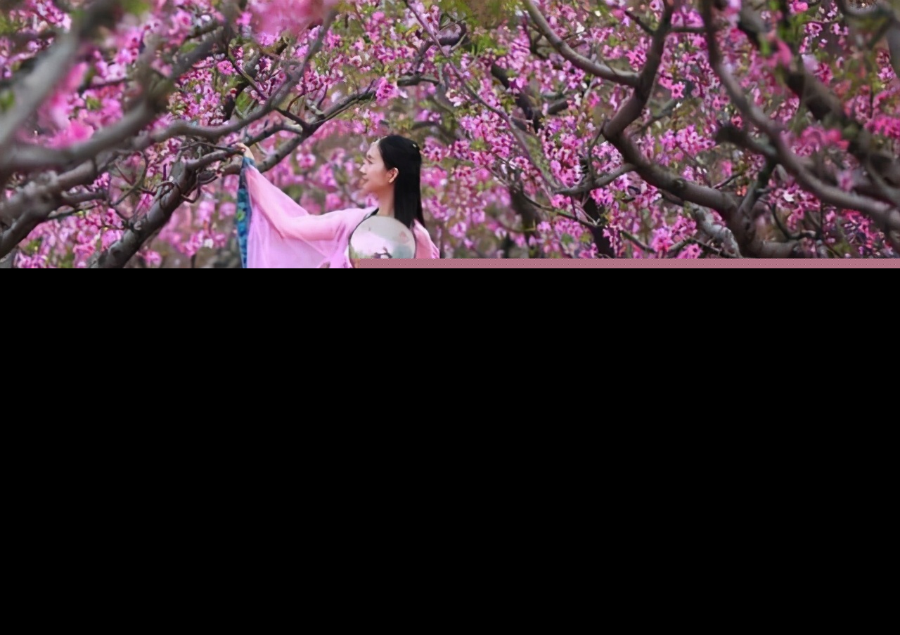 鹧鸪天晏几道古诗（鹧鸪天原文翻译及赏析） 第1张