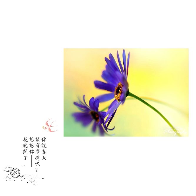 黍离原文及翻译赏析（国风王风黍离原文） 第7张