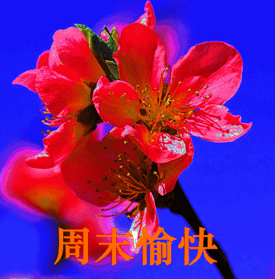 周末祝福短信大全（周末早安祝福语分享） 第3张