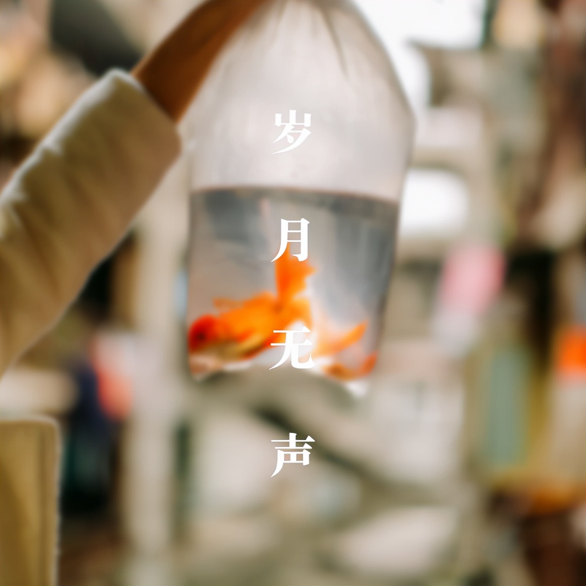 时光只解催人老（时光匆匆的唯美句子） 第1张