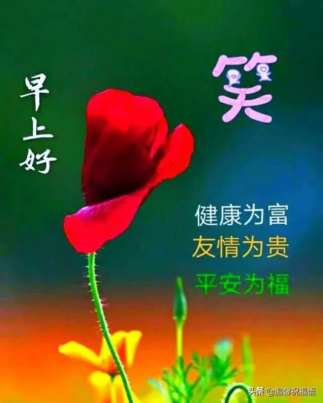 春天祝福语短句（春天的美好祝愿） 第5张