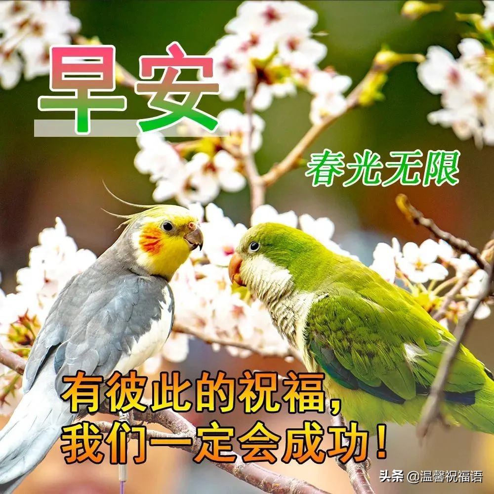 春天祝福语短句（春天的美好祝愿） 第13张
