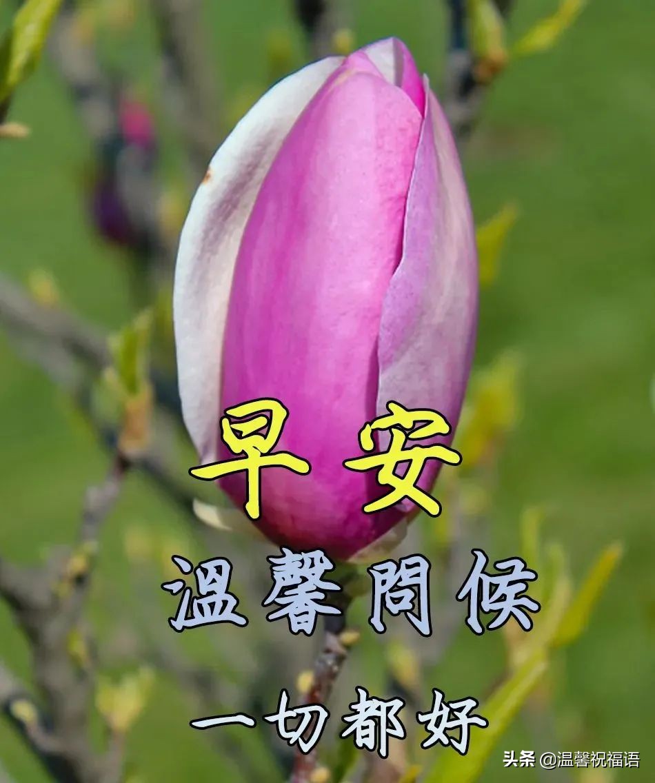 春天祝福语短句（春天的美好祝愿） 第15张