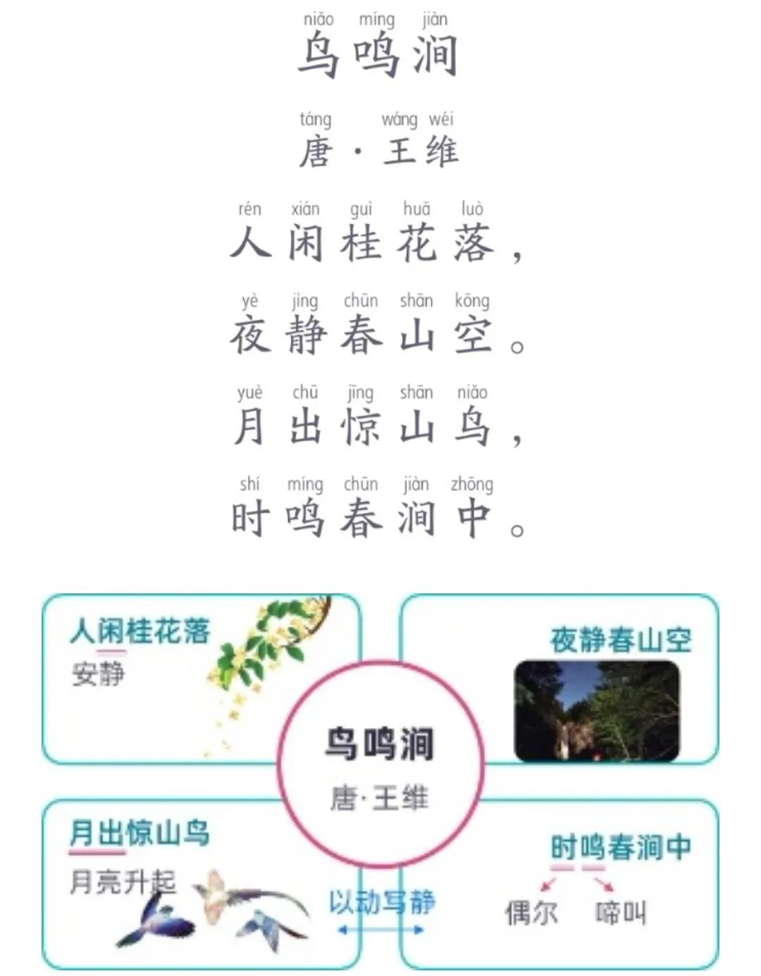 鸟鸣涧翻译及赏析（鸟鸣涧古诗的意思及思想感情） 第1张