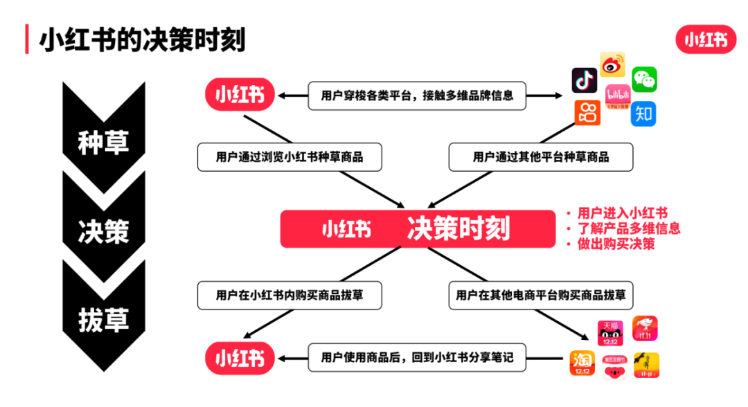 双十一品牌投放攻略：小红书品牌投放节奏攻略 第11张