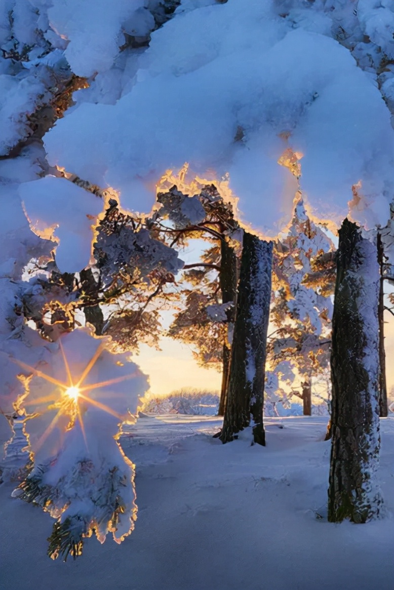 雪景诗句唯美简短（描写冬雪的优美诗词） 第11张