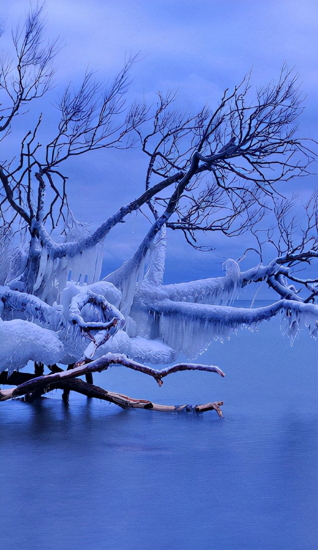 雪景诗句唯美简短（描写冬雪的优美诗词） 第35张