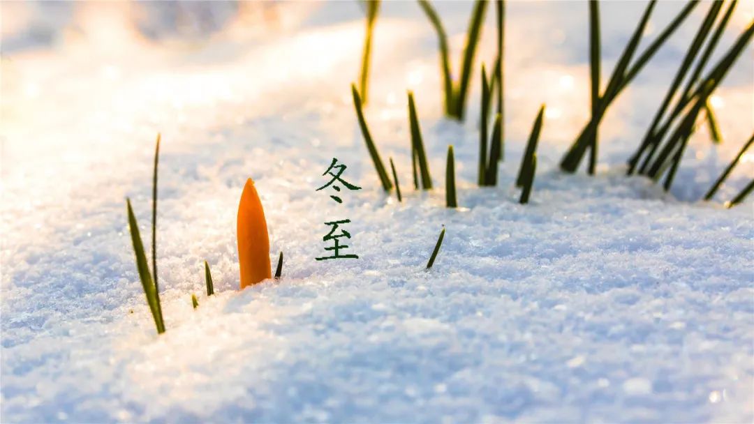 冬至的诗句古诗大全(描写冬至的优美诗句古诗) 第1张