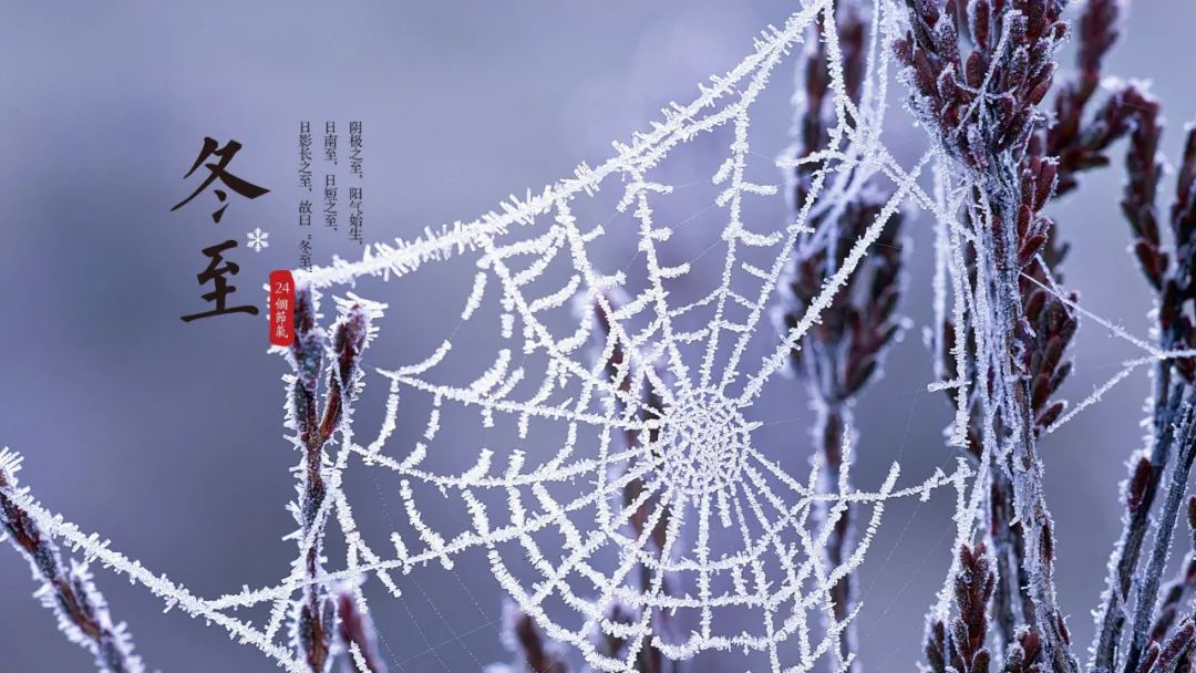 冬至的诗句古诗大全(描写冬至的优美诗句古诗) 第37张