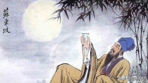 苏轼的故事励志故事(苏轼的故事正能量) 第9张