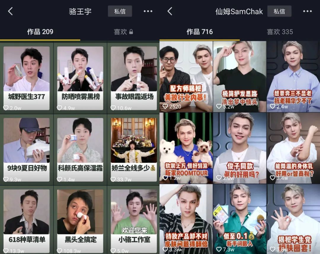 鸟哥笔记,短视频,新榜,KOL营销,短视频,案例分析,变现,变现,短视频,抖音 第13张