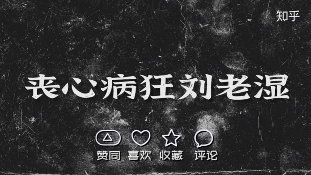 鸟哥笔记,短视频,新榜,视频直播,短视频,知识付费,案例,短视频 第11张