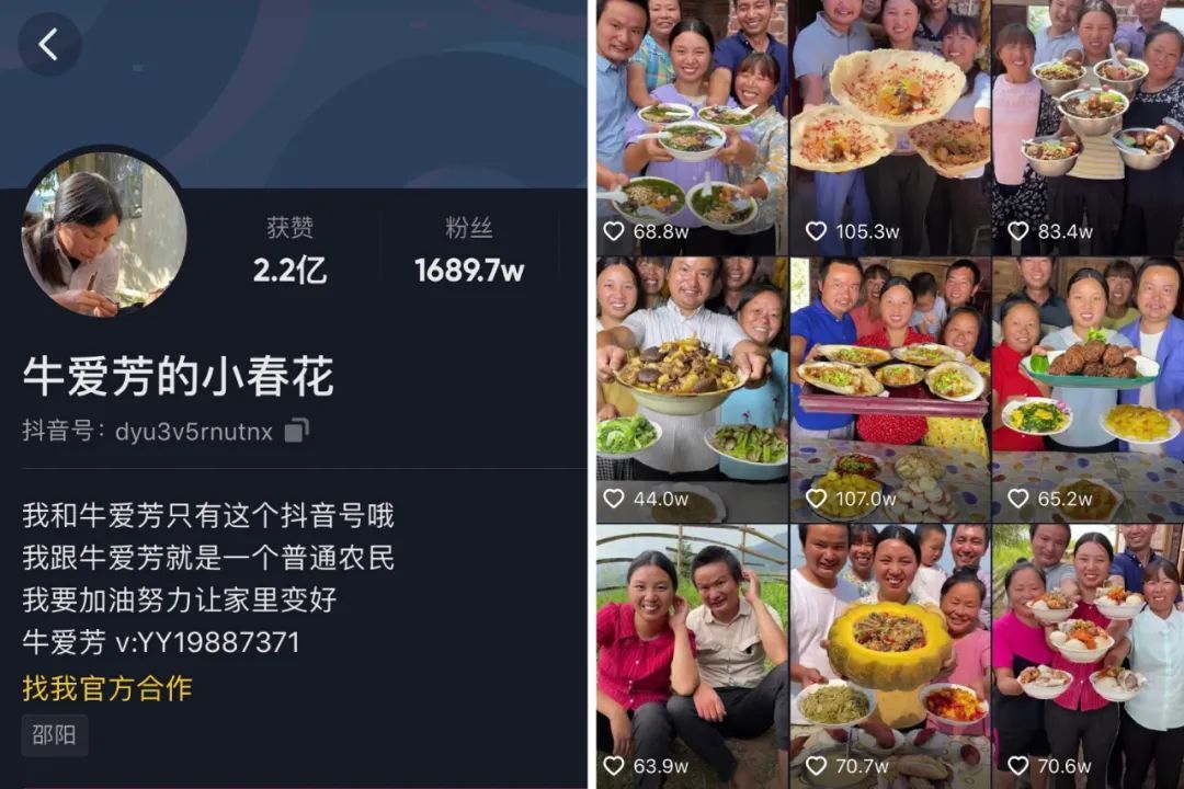 鸟哥笔记,短视频,卡思数据,短视频,视频内容,美食,短视频 第7张