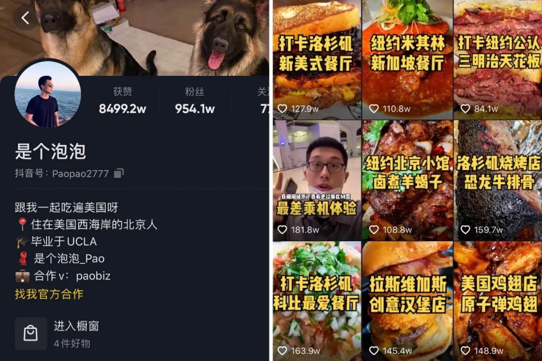 鸟哥笔记,短视频,卡思数据,短视频,视频内容,美食,短视频 第9张