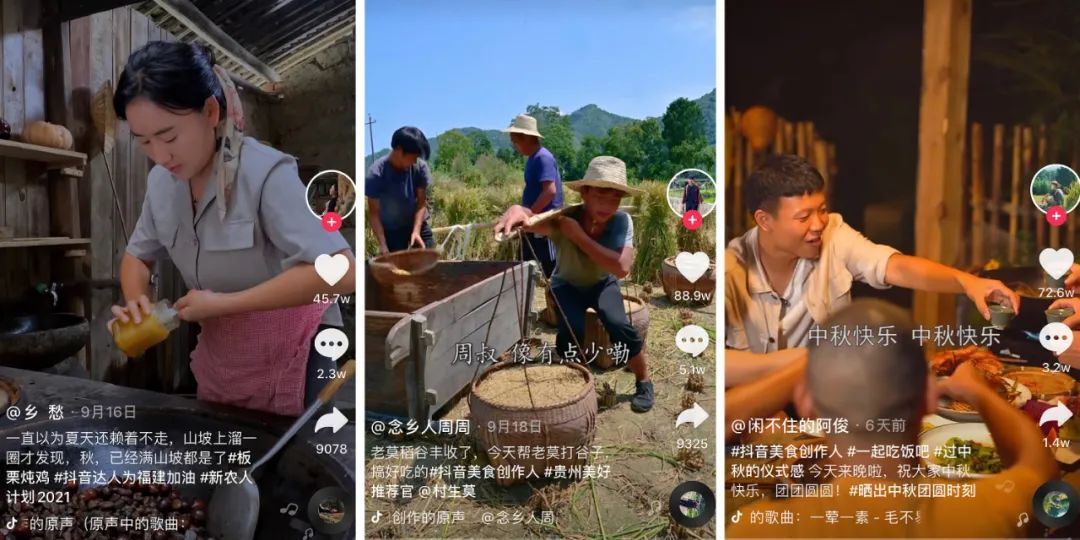 鸟哥笔记,短视频,卡思数据,短视频,视频内容,美食,短视频 第13张