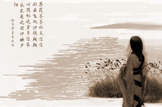 蒹葭翻译及原文（蒹葭白话文翻译优美） 第1张