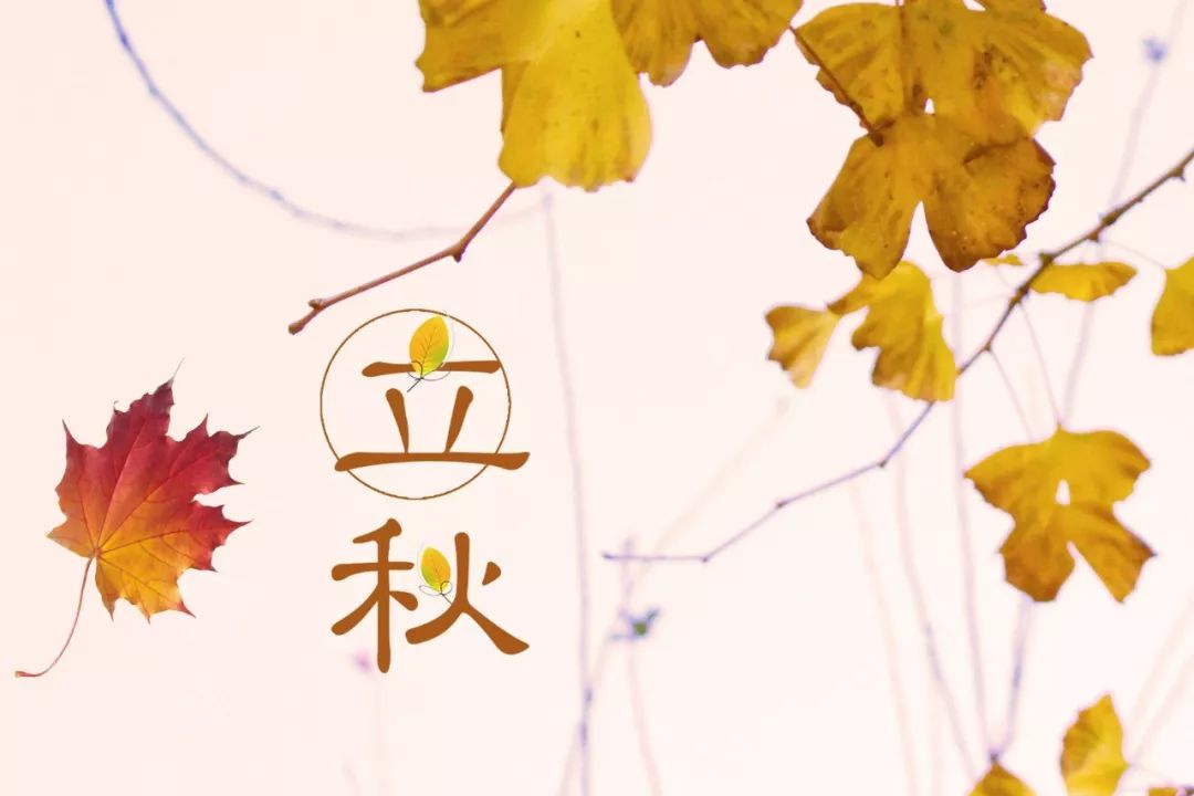 立秋的诗句大全（关于立秋的美好诗句） 第1张