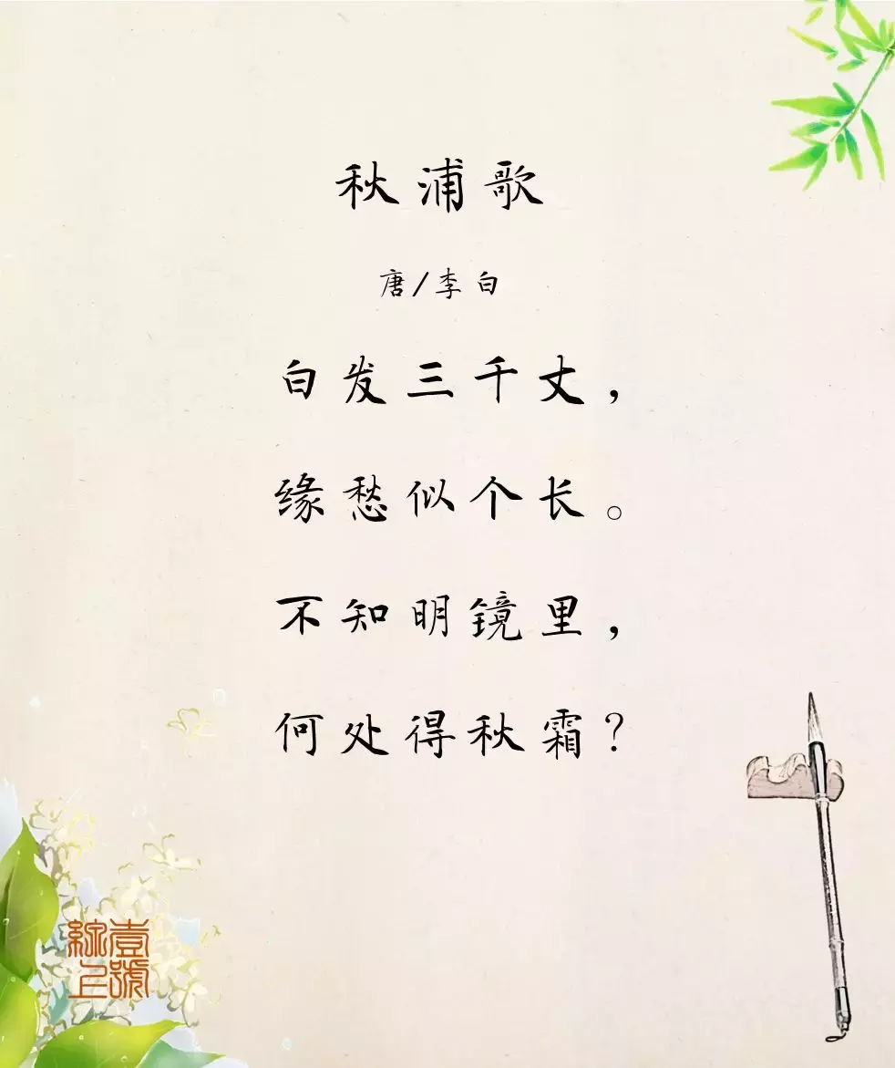 秋浦歌白发三千丈的诗意（李白秋浦歌全诗翻译赏析） 第1张