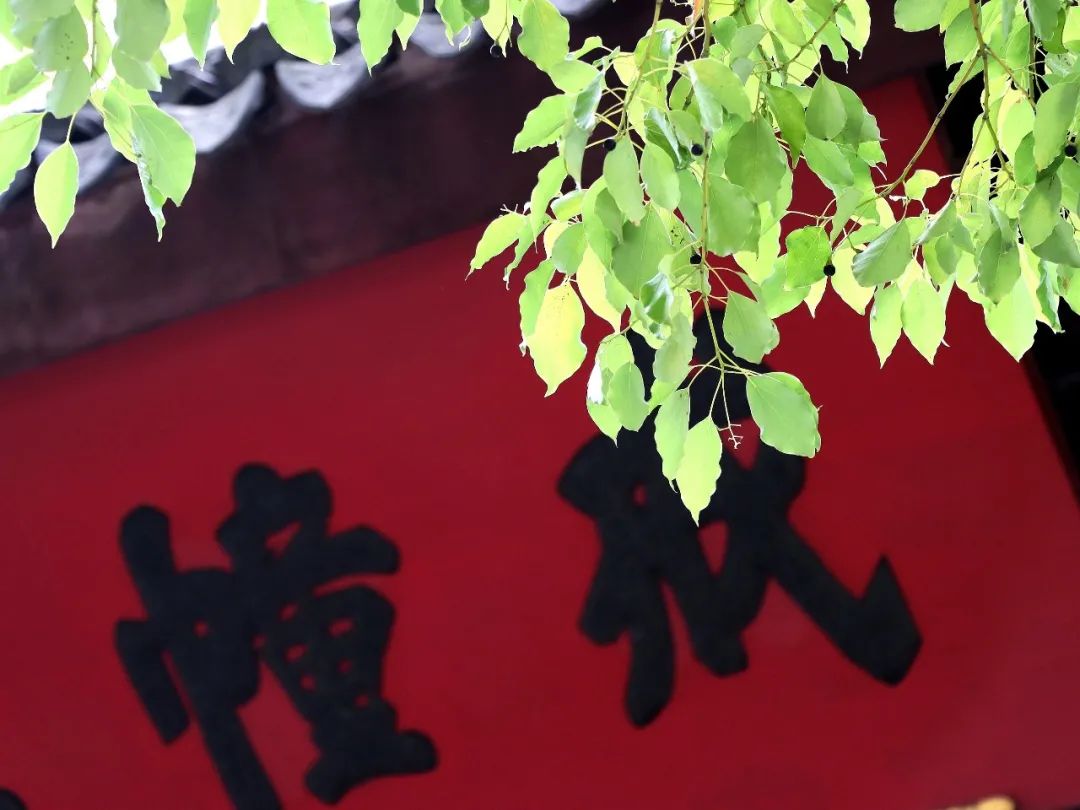 关于心静的诗句（一个人安静淡然的诗句） 第13张