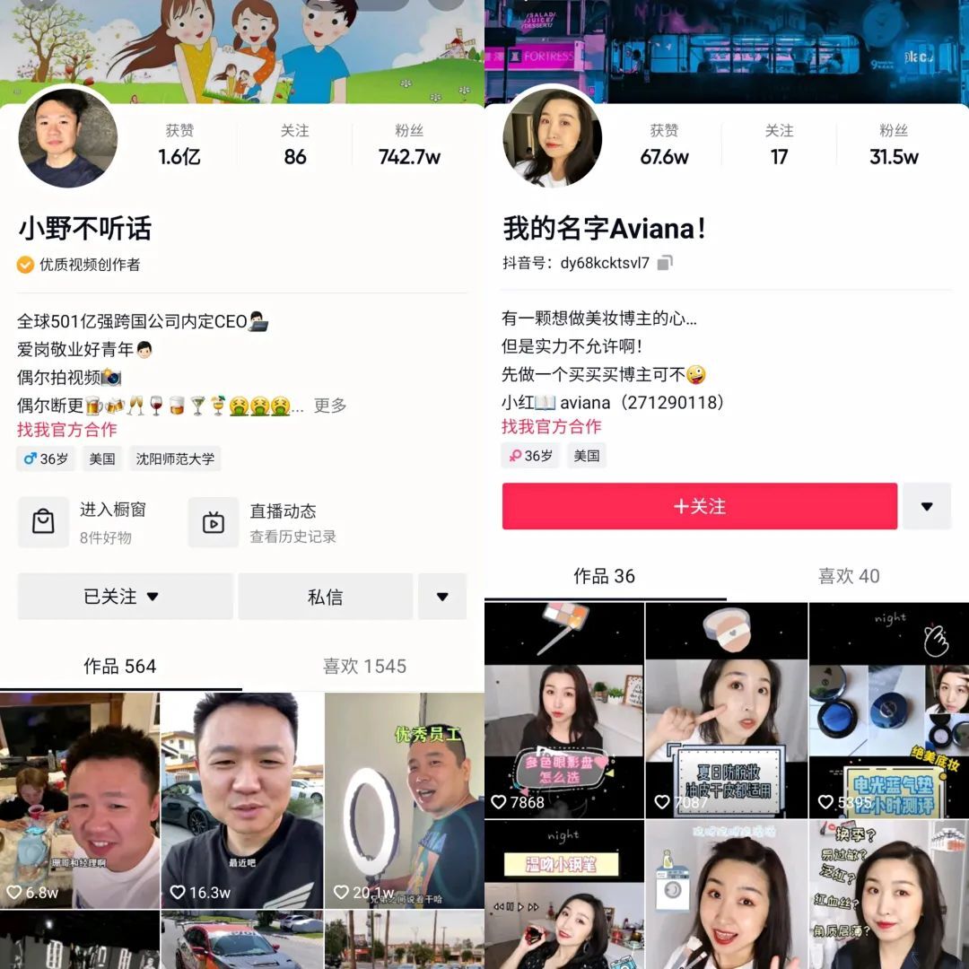 鸟哥笔记,短视频,新榜,短视频,视频内容,案例分析,变现,变现,短视频 第9张