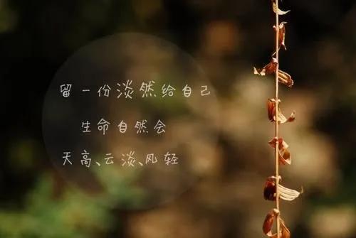 优美语段摘抄大全（适合摘抄的神仙段落） 第9张