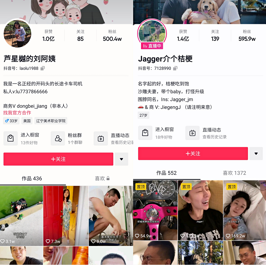 鸟哥笔记,短视频,新榜,短视频,视频内容,案例分析,变现,变现,短视频 第11张