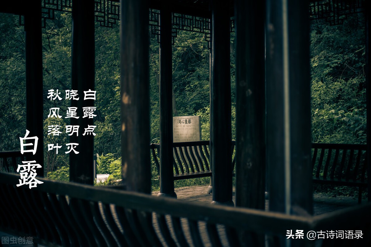 寓意好的词语有哪些（一些寓意美好的词语） 第3张