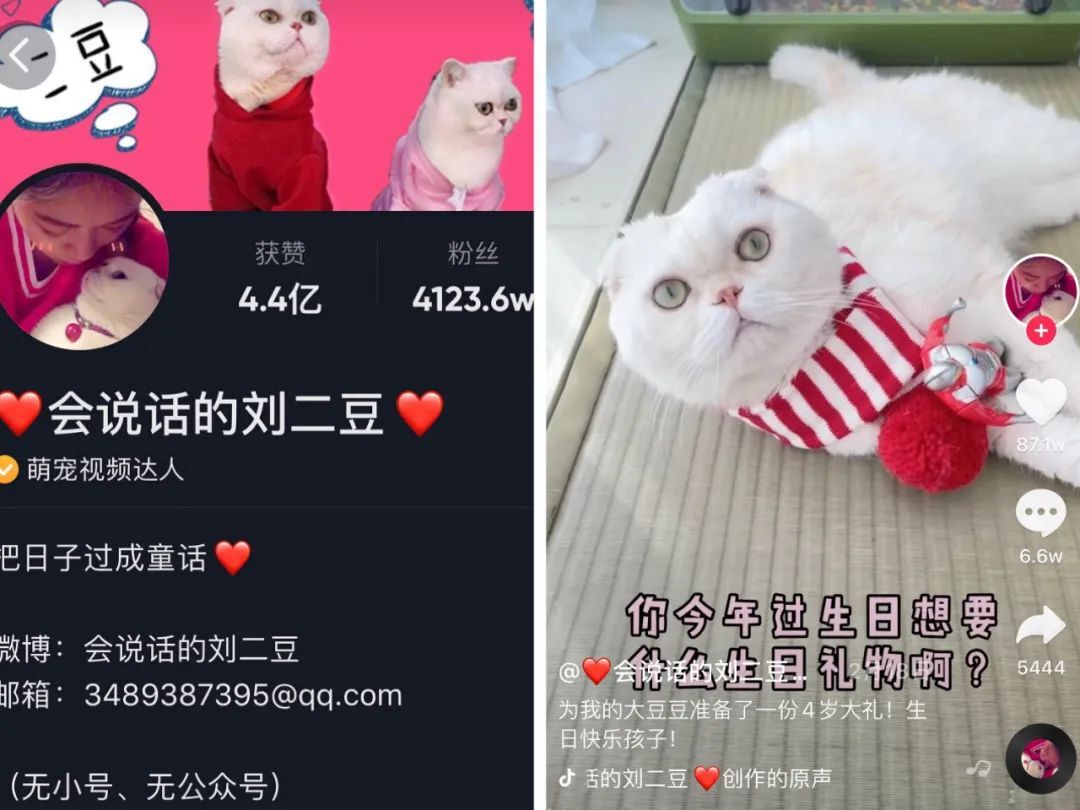鸟哥笔记,短视频,卡思数据,热点话题,抖音,短视频,视频内容,抖音,短视频,抖音 第17张