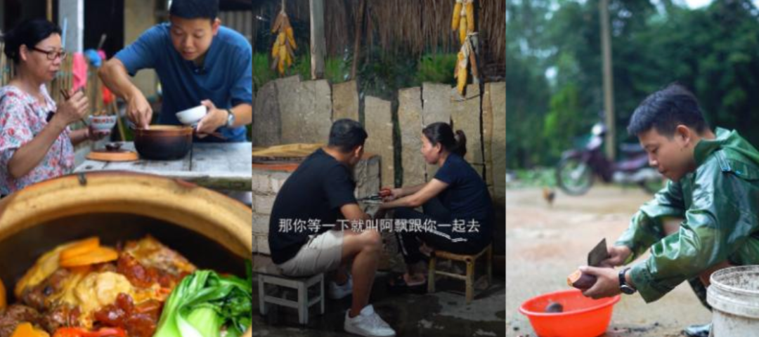 鸟哥笔记,短视频,直播观察,乡土田园风,账号定位,视频选题,抖音,视频内容,案例分析,美食,情感,抖音,抖音 第3张