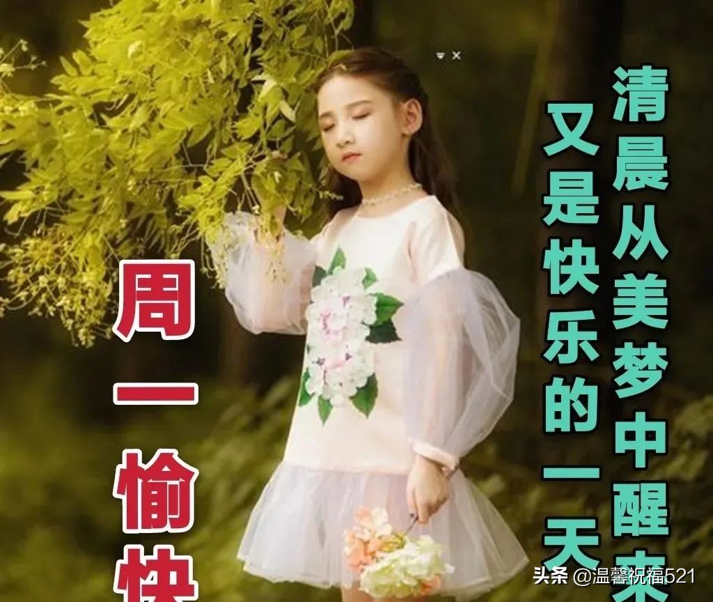 周一祝福短信（周一让人心情好的祝福） 第5张