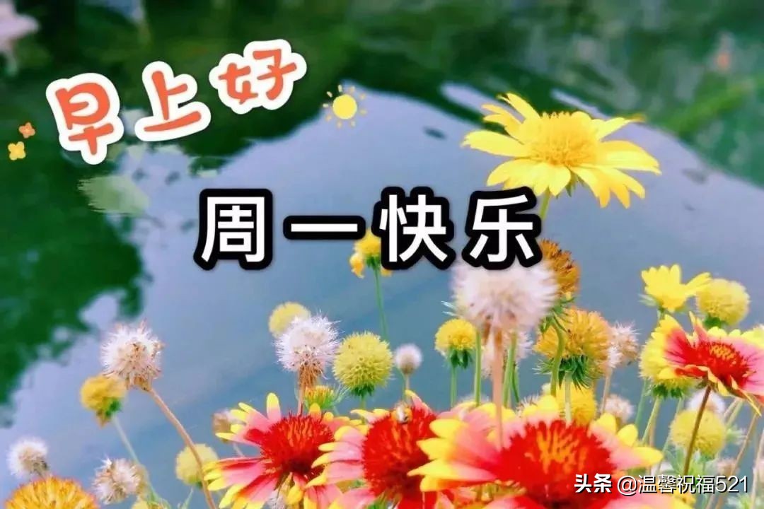 周一祝福短信（周一让人心情好的祝福） 第11张