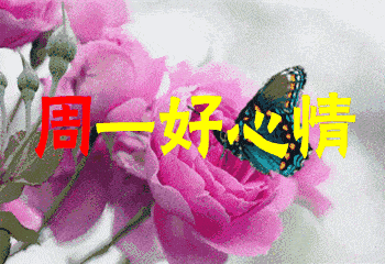 周一祝福短信（周一让人心情好的祝福） 第13张