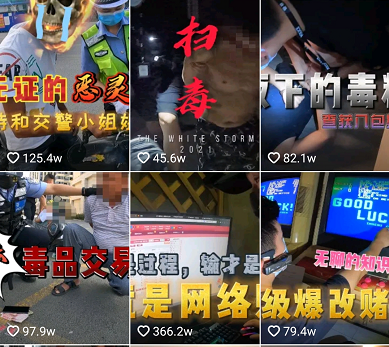 鸟哥笔记,短视频,新榜,账号定位,视频选题,抖音,企业短视频,案例分析,爆款打造,抖音,抖音 第33张