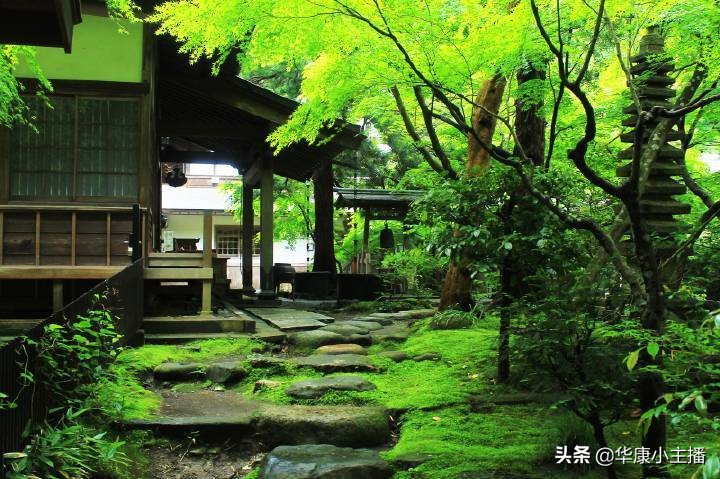 鹿柴王维古诗解析（鹿柴古诗翻译注释赏析） 第7张